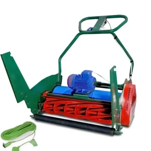 A lightweight cordless electric lawn mower being used on a residential lawn in an urban area of Pakistan